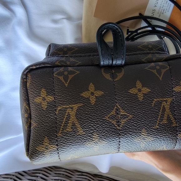 Louis Vuitton Palm Spring Mini Backpack - Picture 7 of 16